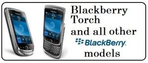 BlackBerry Torch, Curve, Bold, Repair